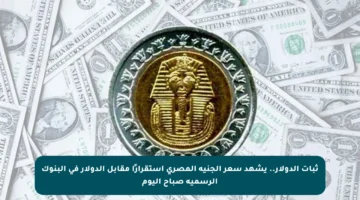 ثبات الدولار.. يشهد سعر الجنيه المصري استقرارًا مقابل الدولار في البنوك الرسمية صباح اليوم